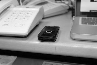 开云全站下载-技术数据揭示冠军转身平均仅0.65秒，冠军转盘